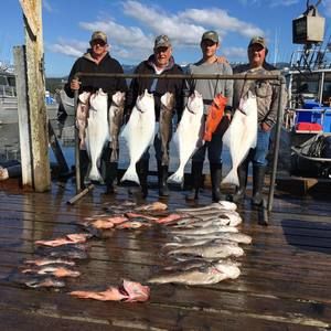 Meet your Posher, Robert