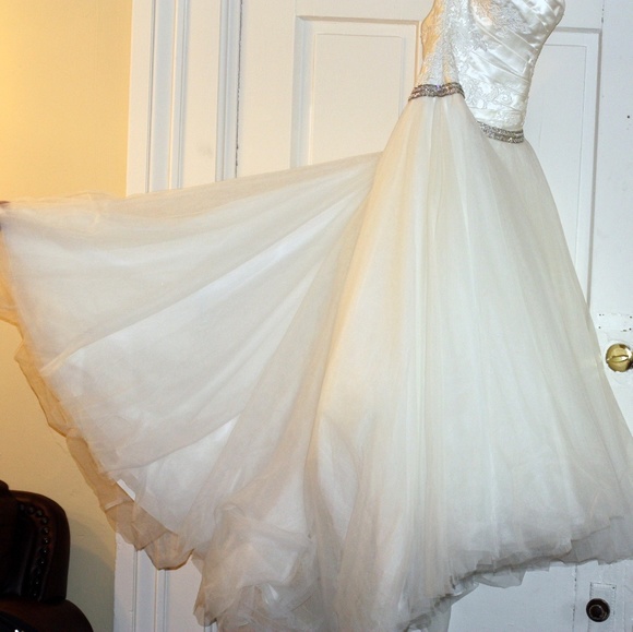 Wedding Gown - Picture 3 of 4