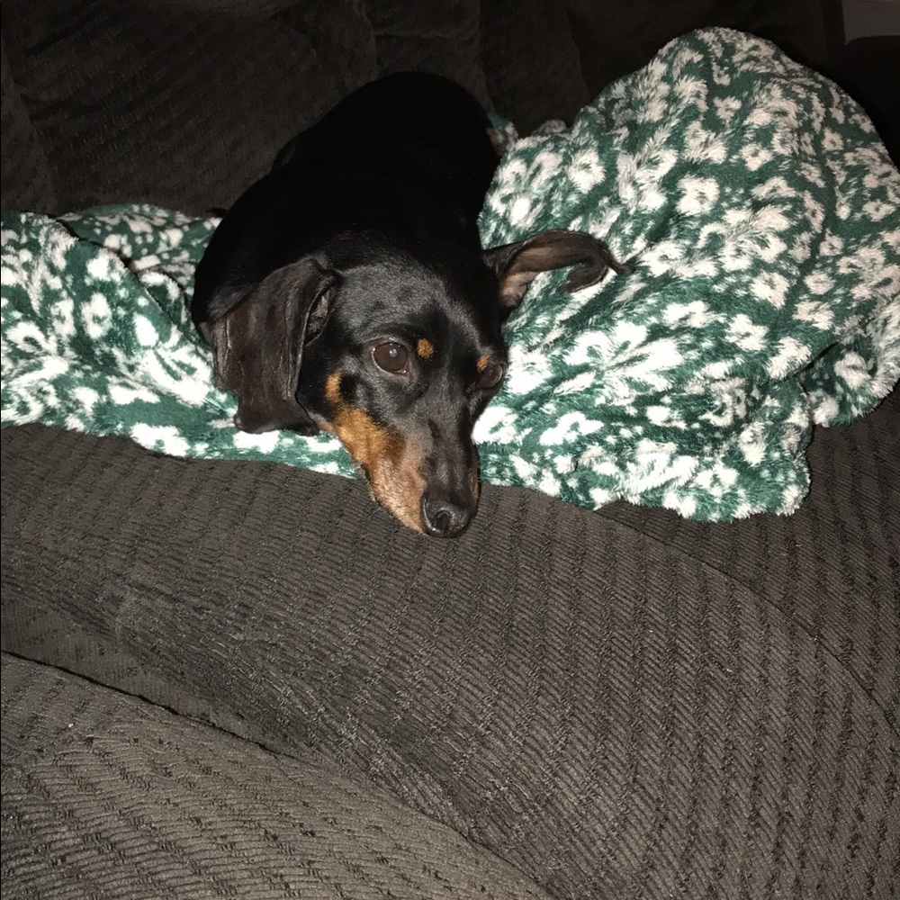 Meet your Posher, Katie