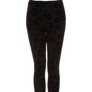 Velvet Daisy Leggings