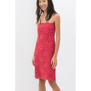 Zara strapless pink lace dress