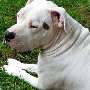 Meet your Posher, Tonya