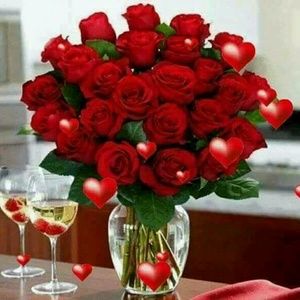 Meet your Posher, Alexander