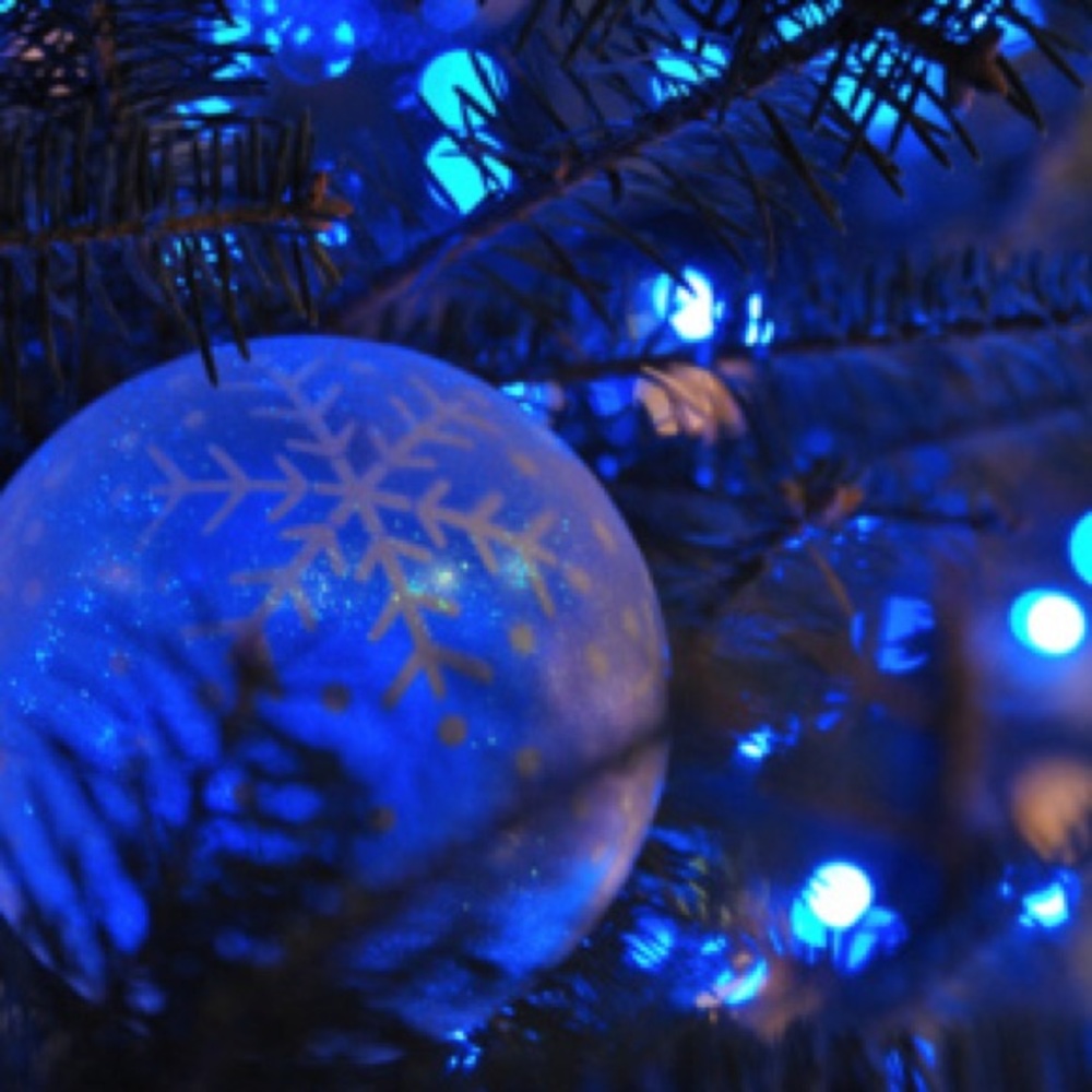 Meet your Posher, Rose