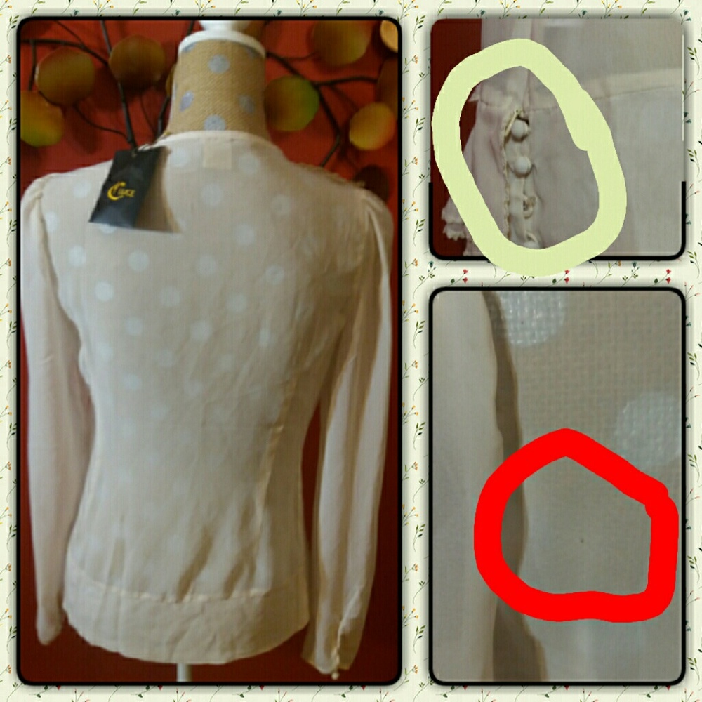 NWT C.Luce Cream Ruffled Sheer Blouse - Picture 4 of 4
