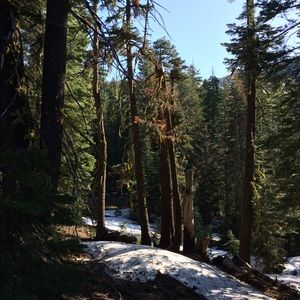 Meet your Posher, Sean