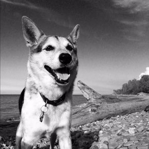 Meet your Posher, Leslie