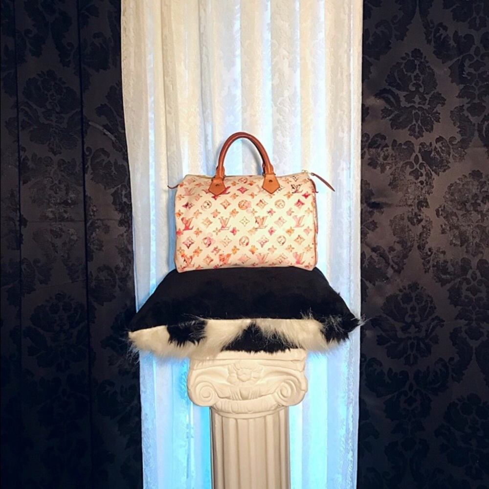 My LV Speedy 30 with Watercolor Monogram Canvas