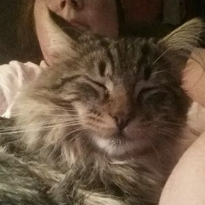 Meet your Posher, Sheila