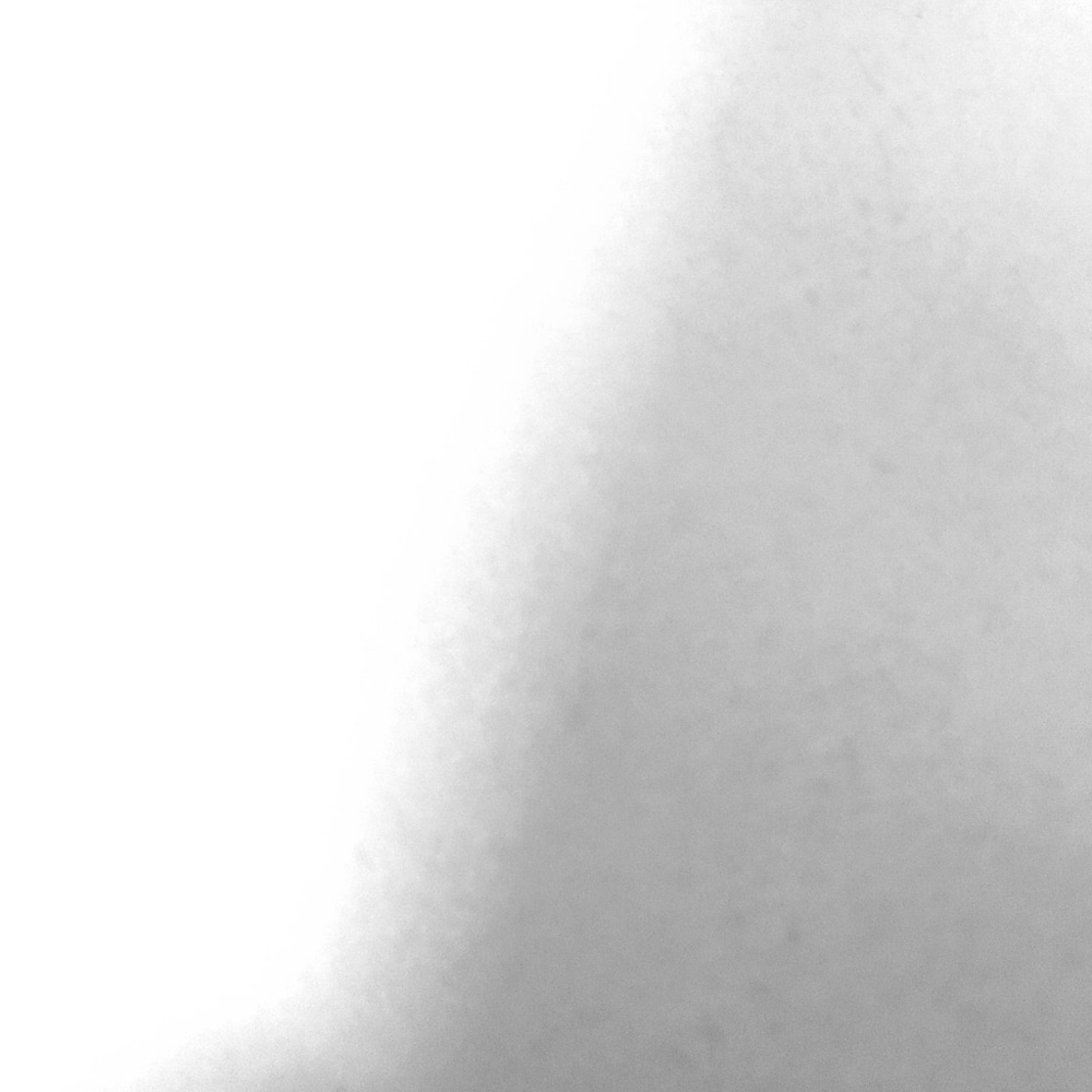 Bd - Picture 2 of 2