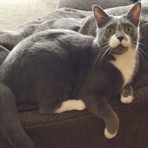 Meet your Posher, Cindy