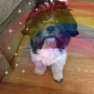 Meet your Posher, Alice