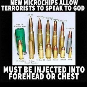 Meet your Posher, Nathan