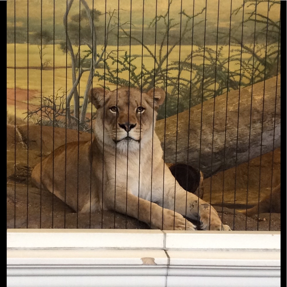 Meet your Posher, Magali