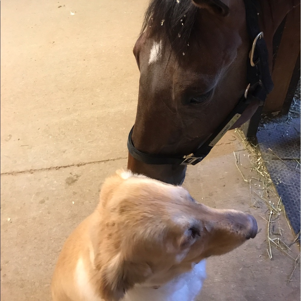 Meet your Posher, Pam