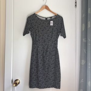 Ann Taylor Polka Dot Dress