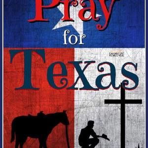 Meet your Posher, Carla