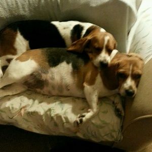 Meet your Posher, Mary ann