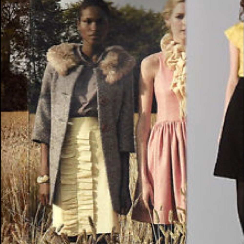 Anthropologie Sz 4 Leifsdottir Pretty Skirt