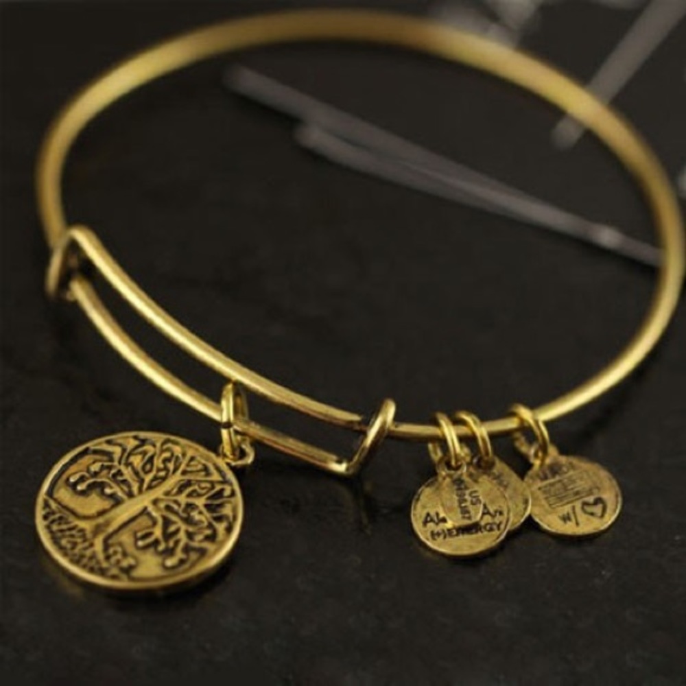 Alex and Ani Tree of Life Charm Bangle