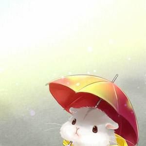 Meet your Posher, Zhihui