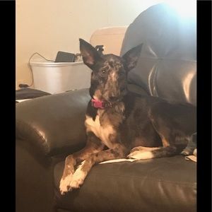 Meet your Posher, Jerome