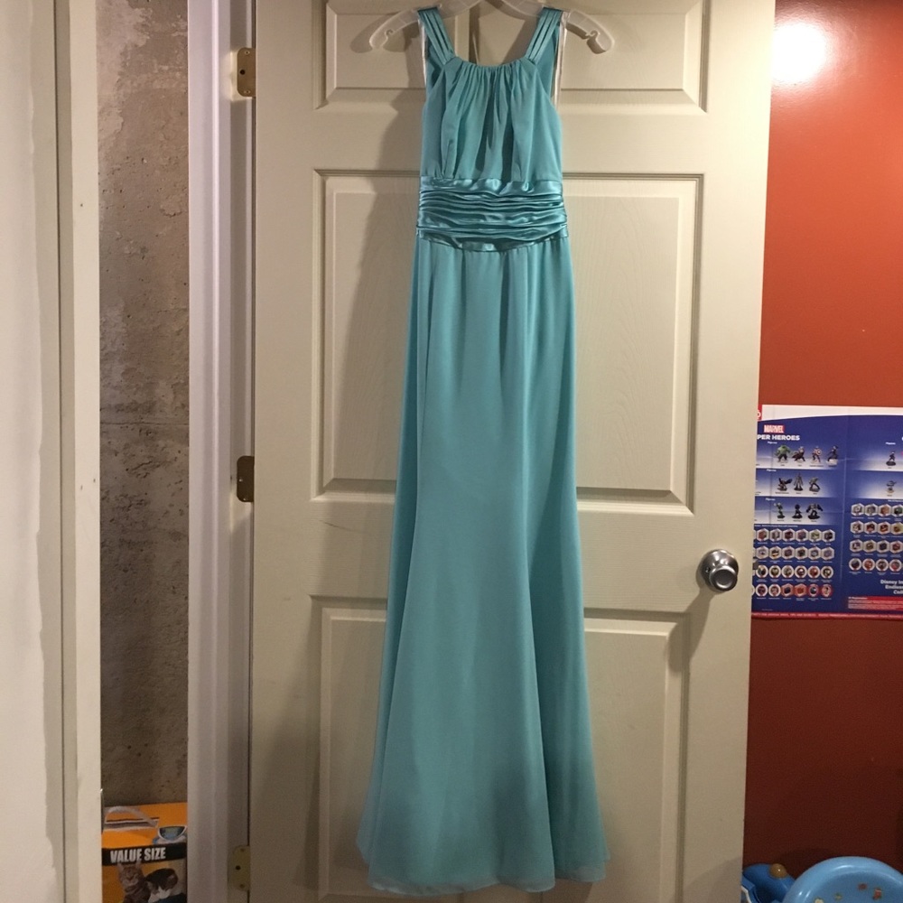 Bridesmaids dress from davids bridal