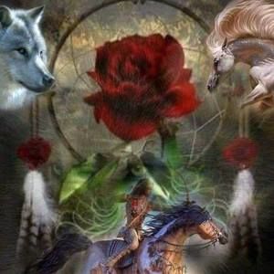 Meet your Posher, Freida