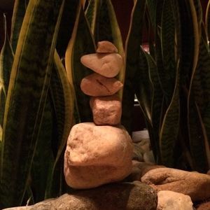 Meet your Posher, Shea