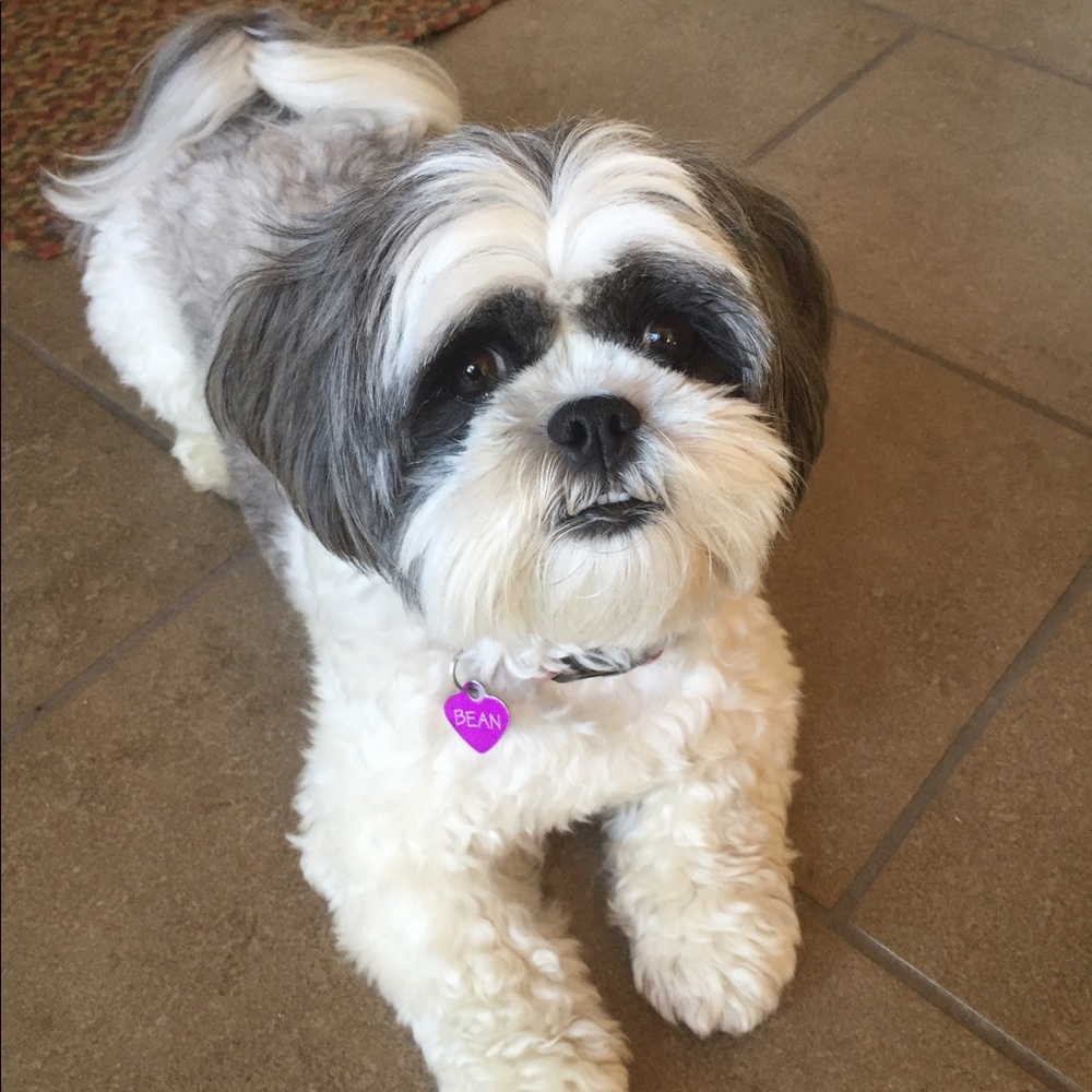 Meet your Posher, Jill