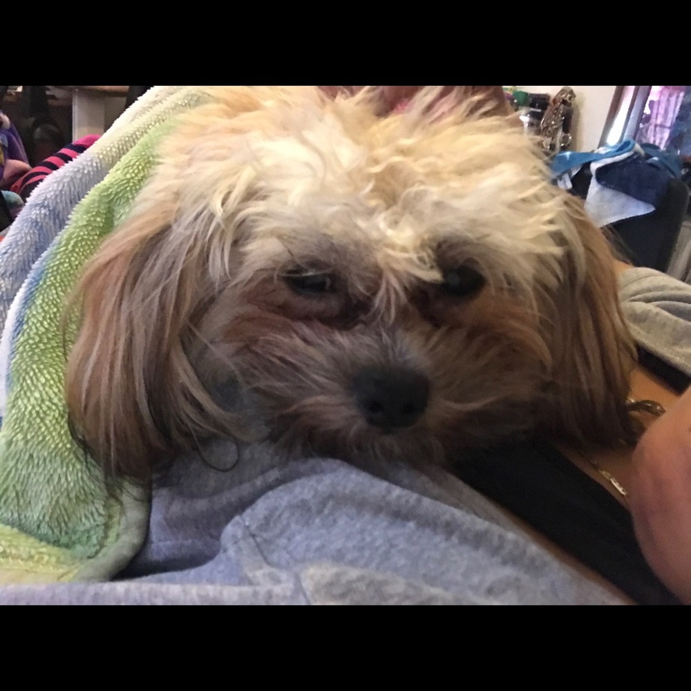 Meet your Posher, Yuri