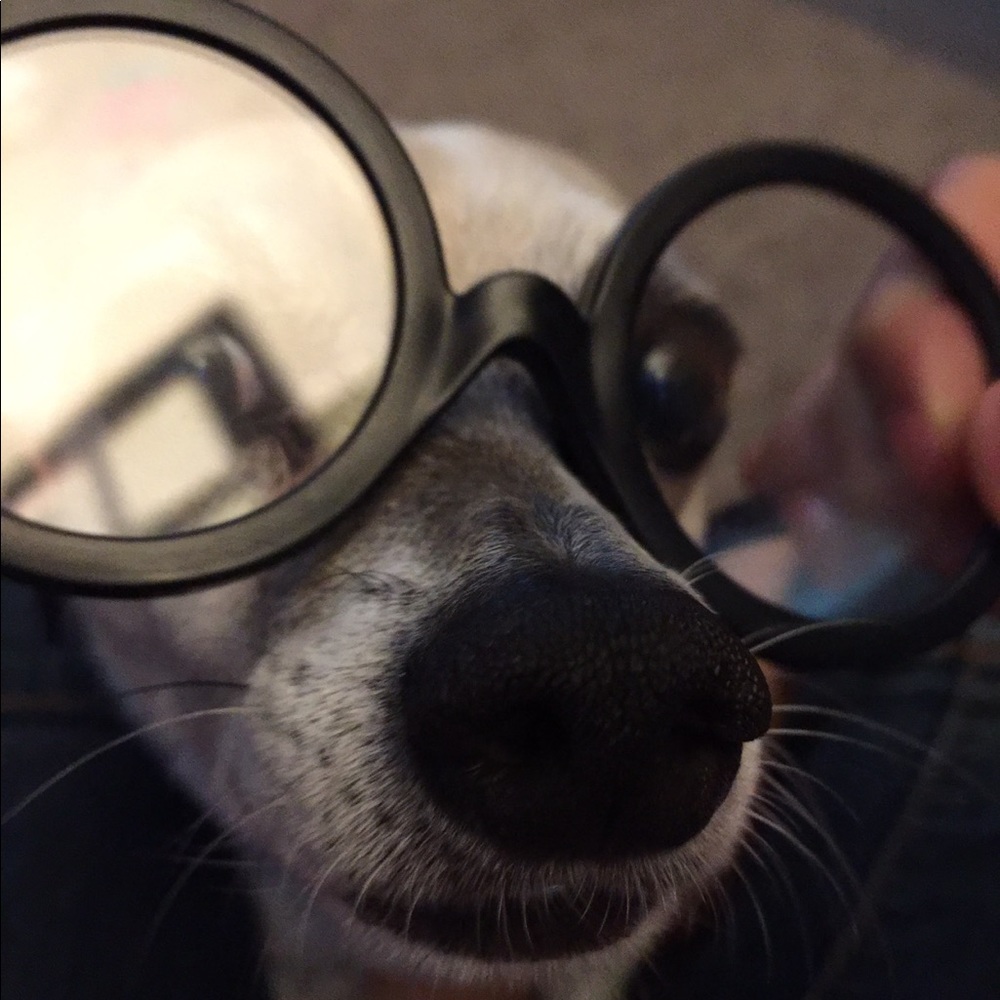 Meet your Posher, Nhung