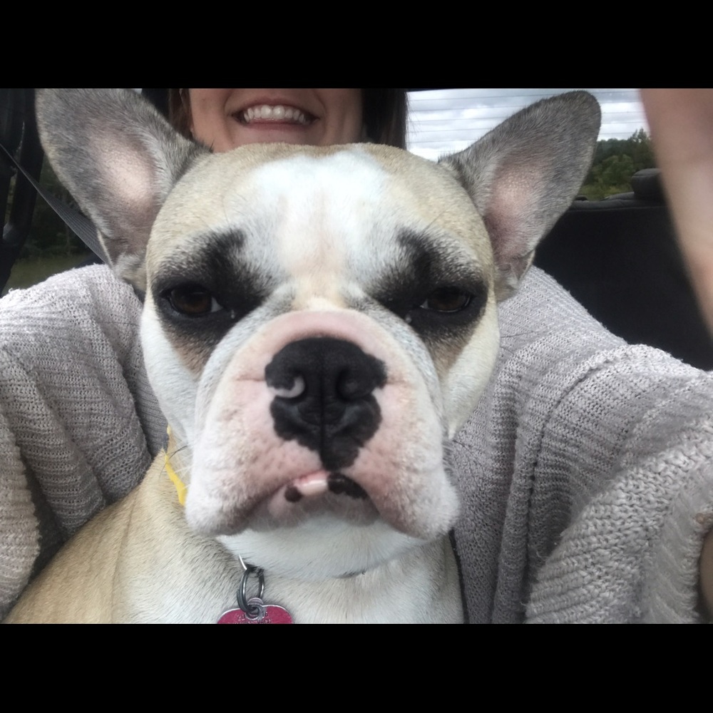 Meet your Posher, Molly