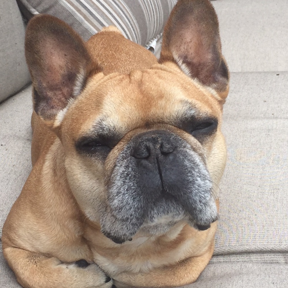 Meet your Posher, Alexandra