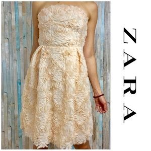Zara Romantic Strapless Cocktail Dress