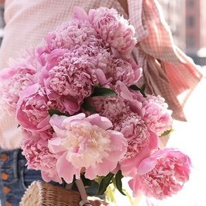 Meet your Posher, Betty