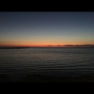 Meet your Posher, Abigail