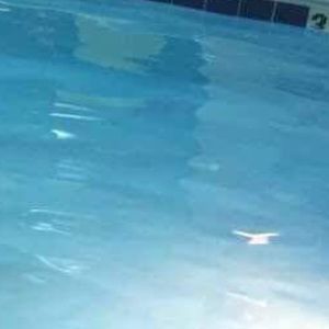 Meet your Posher, Ronnie