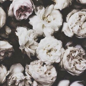 Meet your Posher, Candace