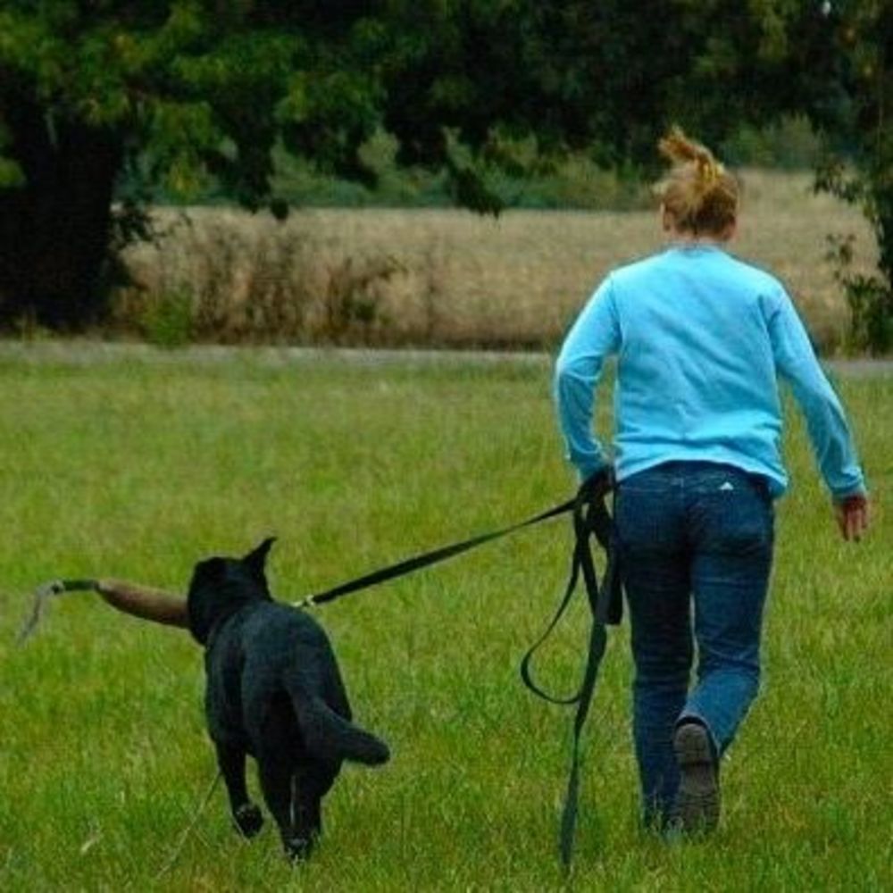 Meet your Posher, Trista