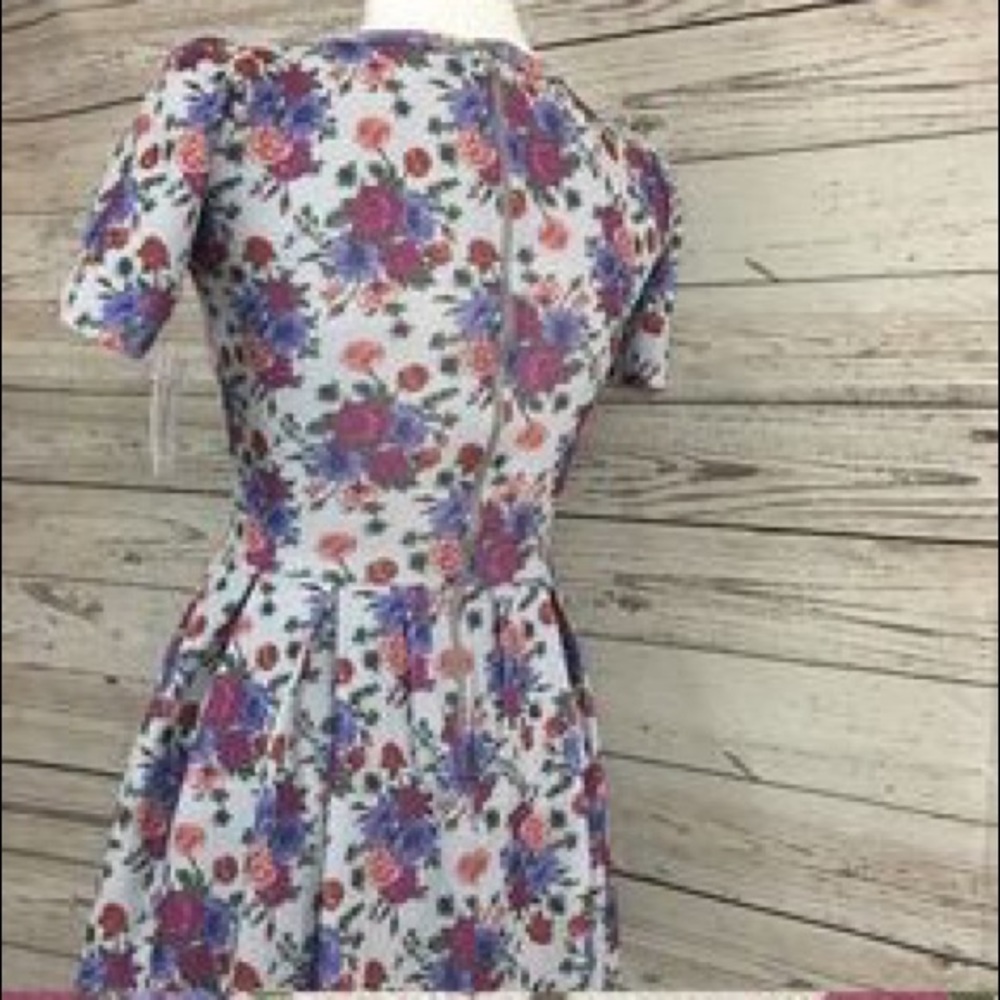 Lularoe Floral Amelia with Grey Background.