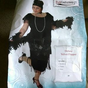 Deluxe Velvet Flapper Costume (1920's)