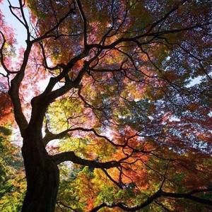 Meet your Posher, Markus