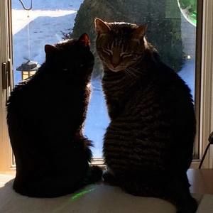 Meet your Posher, Cathy