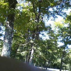 Meet your Posher, Bk