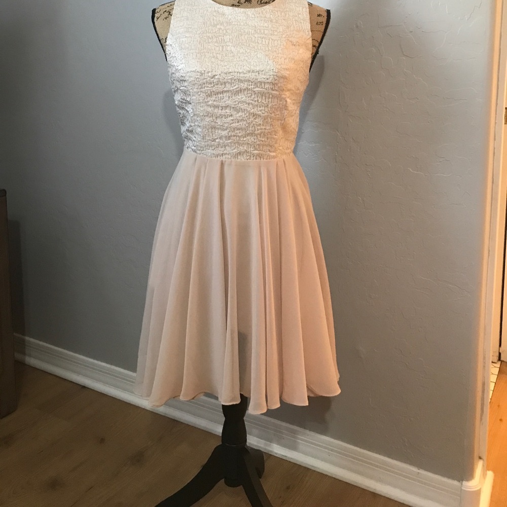 Francesca's Blush and gold dress