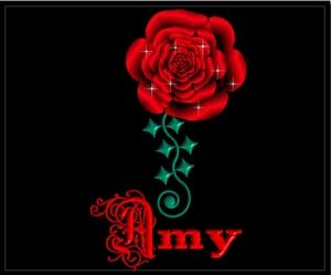 Meet your Posher, Amy