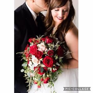 Meet your Posher, Molly