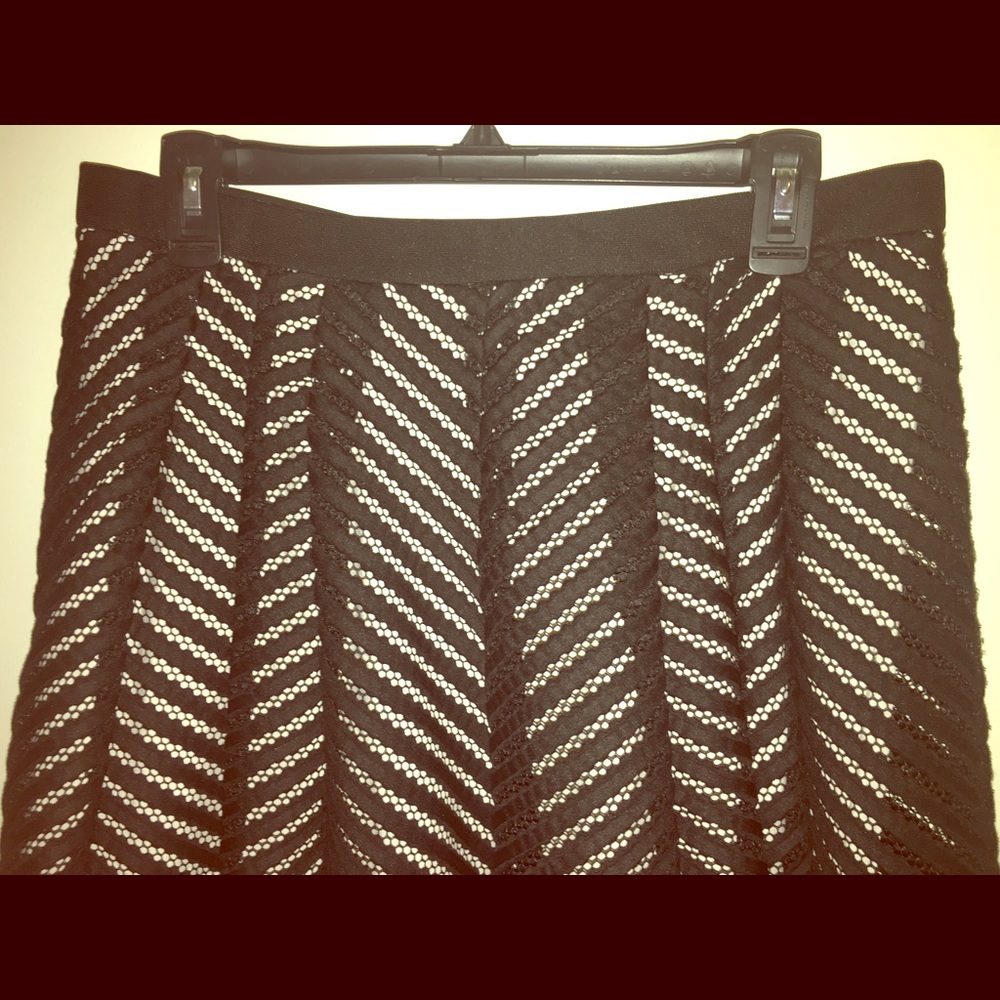 Classic eyelet skirt with nude slip NWOT