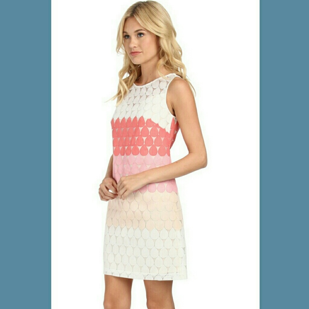 Gorgeous embroidered organza shift dress. EUC!